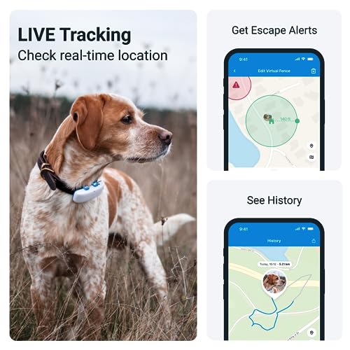 Tractive GPS Tracker for Dogs Waterproof, GPS Location & Smart Pet