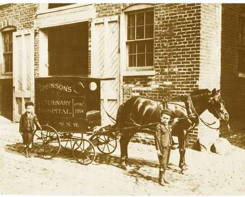 Quality digital print of a vintage photograph - Boys With Veterinary Carriage - Washington, DC 1898. Sepia Tone 5x7 inches - Luster Finish