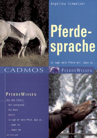 Pferdesprache So Sagt Mein Pferd Mir Dass Es Amazon De Schmelzer Angelika Bucher