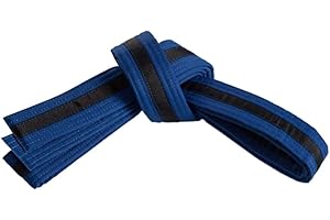 MASTERY MARTIAL ARTS Mastery Leadership