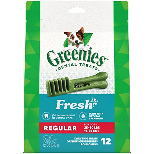 Greenies Regular Natural Dental Care Dog Treats