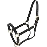 Royal King Leather Stable Halter