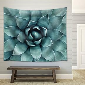 Sharp Pointed Agave Plant Leaves - Fabric Wall Tapestry Home Decor - 51x60 inches