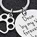VANLOVEMAC Loss of Pet Memorial Keychain Dog Cat Remembrance Jewelry Pet Sympathy Gift Dog Remembrance for Women Men Once By My Side Forever in My Heart Key Ring
