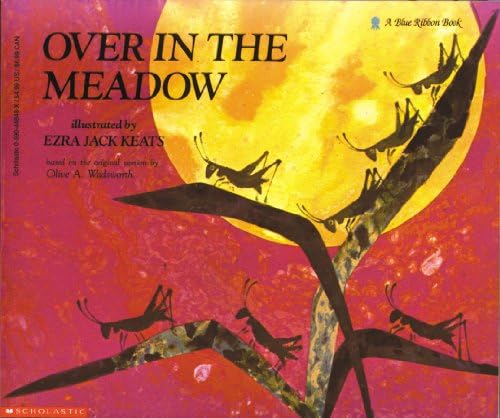 Amazon.com: Over in the Meadow (Classic Books With Holes