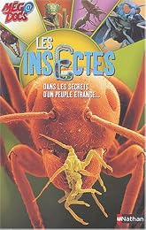 Les  insectes