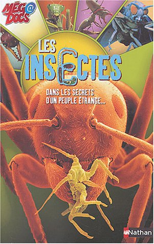 Les  insectes