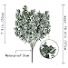 Yinhua Artificial Eucalyptus Leaves Greenery Leaves Faux Silver Dollar Eucalyptus Greenery Branches Plant for Greenery Wedding Jungle Theme Party(Eucalyptus Leaves, Pack of 3)
