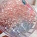 Gbell 120 ML Beautiful Color Mixing Cloud Slime Squishy Putty Scented Stress Kids Crystal Clay Toy for Boys&Girs&Adults (D)