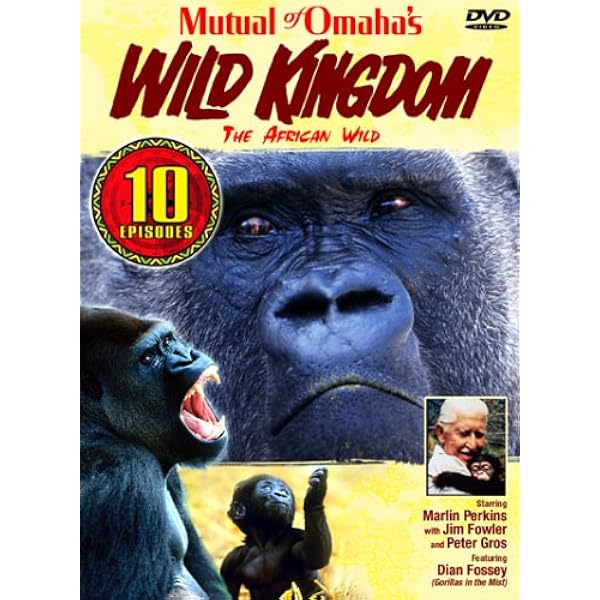 Amazon.com: Wild Asia 1: In the Realm Of The Red Ape [Blu-ray