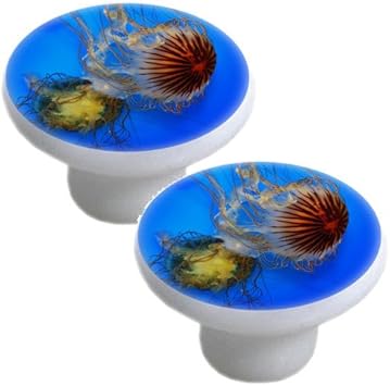 Set Of 2 Jellyfish Ceramic Cabinet Drawer Knobs Amazon Com
