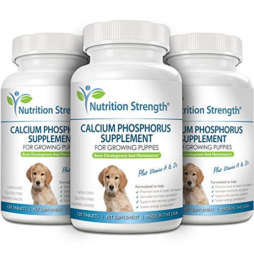 Nutrition Strength Calcium Phosphorus for Dogs Supplement, Provide