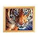 Adarl 5D DIY Diamond Painting Rhinestone Pictures of Crystals Embroidery Kits Arts, Crafts & Sewing Cross Stitch Tiger
