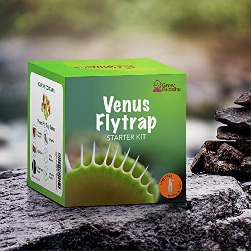 Grow Your own Venus Flytrap Kit, Easily Grow Carnivorous Venus Flytrap Plants with our Beginner friendly Venus Flytrap Kit - Image 3