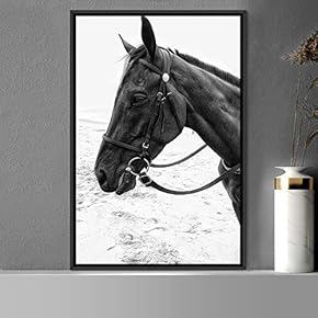 signwin Framed Canvas Wall Art High Contrast Horse...