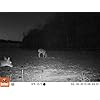 Bushnell-12MP-Trophy-Cam-HD-Essential-Low-Glow-Trail-Camera-Brown Bushnell-12MP-Trophy-Cam-HD-Essential-Low-Glow-Trail-Camera-Brown