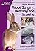 BSAVA Manual of Rabbit Surgery, Dentistry and Imaging by 