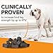 VetriScience Ultimate Strength Healthy Hip & Joint Chews, GlycoFlex Glucosamine, Chondroitin and Green-Lipped Mussel Joint Support Supplement for Dogs, Soothe Joint Discomfort, Duck, 120 Count