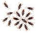 BeautyMood 100pcs Fake Roach Prank Novelty Cockroach Bugs Look Real