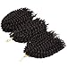 Silike 8'' Marlybob Kinky Curl (3 Bundles/pack) Water Wave Crochet Braiding Hair(#4)