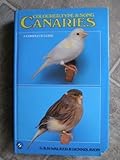 Coloured, Type and Song Canaries: A Complete Guide by 