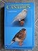 Coloured, Type and Song Canaries: A Complete Guide by 