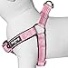 Blueberry Pet Soft & Comfy 3M Reflective Step-in Pastel Color Padded Dog Harness, Chest Girth 23.5