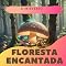 Livro O Mistério na Floresta Encantada: Em Busca do Tesouro da Amizade