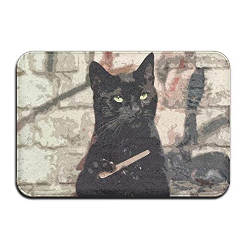 Non Slip Door Mat Outdoor,Decorative Garden Office Bathroom Door Mat with Non Slip, Entry Way Door Mat Rug with Non Slip Backing Cool Black Cat Indoor Doormat for Kitchen,Bath,Pet