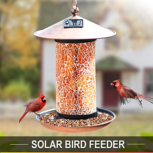 Artbirdfeeder Solar Bird Feeder Hanger Solar Lantern Powered For
