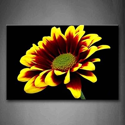 Jaune Et Rouge Fleur En Fond Noir Peinture Dart Mural