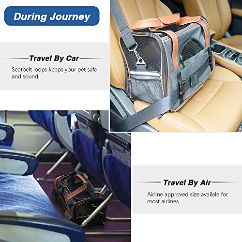 5 Purrpy+Premium+Carrier+Airline+Approved