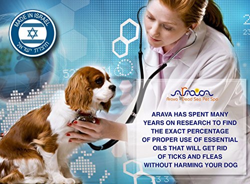 Arava Natural Flea & Tick Prevention for Dogs - 4-Doses - 100% Safe Dog Flea & Tick Control - Repels Pests with Natural Oils - Safe on Skin and Coats - Enhanced Defense & Prevention (3 Variations)