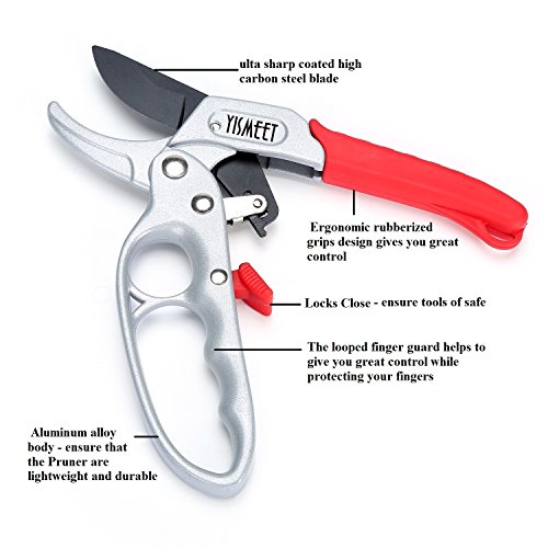 Sharp 8-inch Garden Ratchet Pruning Shears - Hand Pruners - Best Small Secateurs - High Carbon Steel Ultra Sharp Blade Bypass Effortless Cut - Professional Gardening Tools Ratcheting Pruner
