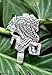 Sterling silver money clip, 'Wise Krishna'