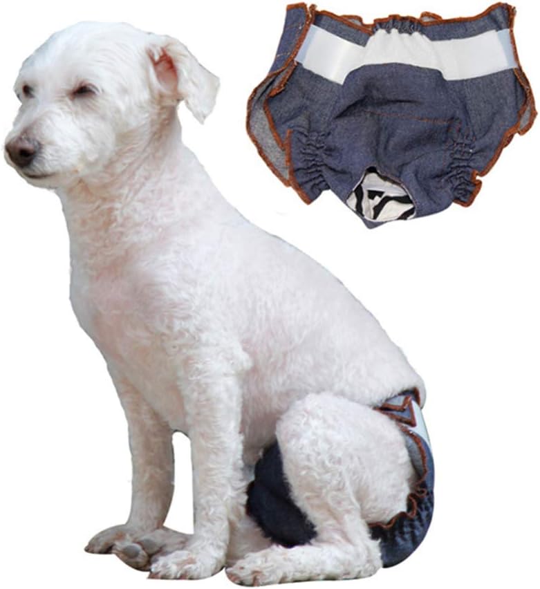 dog menstruation pants