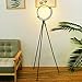 FADACI LED Floor Lamp, Tripod Standing Floor Lamps for Living Rooms Bedrooms and Offices Modern and Unique Design,16 wattage Warm Lighting (Black)