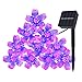 ANNT Christmas Light, String Lights, Outdoor Lights, Indoor Lights, Solar Decorative Lights (Purple)
