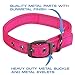 Max and Neo MAX Reflective Metal Buckle Dog Collar - We Donate a Collar to a Dog Rescue for Every Collar Sold (Large, Pink)