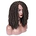 HANNE L Part Lace Front Wig Afro Kinky Curly Wigs Side Part Lace Wig for African American Women (Dark Brown)