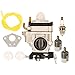 HIFROM Carburetor with Fuel Line Repower Tune-up kit for Echo PB-755 PB-755H PB-755T PB-755SH PB-755ST PB-751 PB-751H for Shindaiwa EB-633RT Power Blower Replace Walbro WYK-192 WYK192