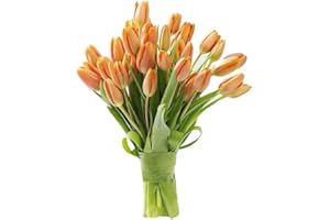 KaBloom PRIME OVERNIGHT DELIVERY - WEDDING COLLECTION - PREMIUM 30 Orange T ulips - Wholesale Fresh Flowers I Gift for Birthday, Anniversary, Thank You, Mother’s Day Fresh Flowers.