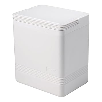 Igloo Coolers Europe 48198 Nevera portátil Unisex, Color Blanco ...
