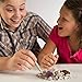 Discover with Dr. Cool Gemstone Dig Science Kit