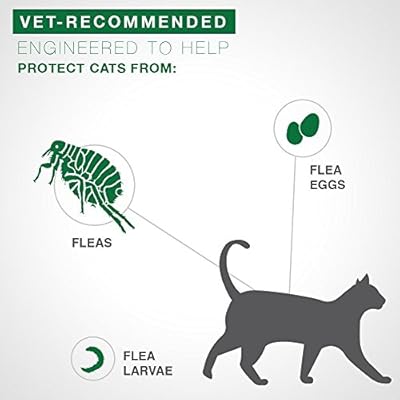 advantage ii flea treatment for large cats over 9 lbs