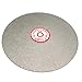 Rannb Flat Lap Wheel 180 Grit 8-inch Outer Dia Diamond Coated Sanding Polishing Disc