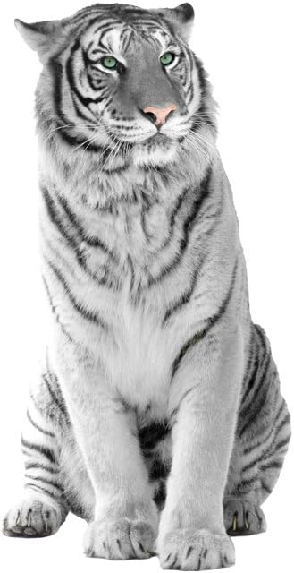 Grazdesign Wandtattoo Tiger Schwarz Weiss Wandaufkleber Tigerkopf Raubkatze Asien 78x40cm Amazon De Kuche Haushalt