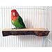 Tfwadmx Parrot Perch for Cage, Bird Stand Platform Natural Wood Playground Cage Accessories for Small Anminals Rat Hamster Gerbil Rat Mouse Lovebird Finches Conure Budgie, 2 Packthumb 1