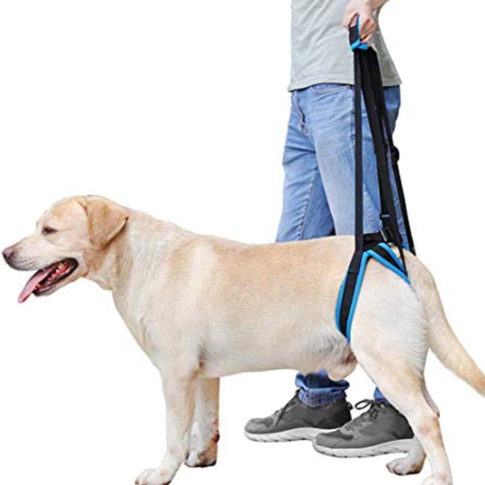 dog leg sling