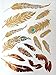5 Sheets Metallic Tattoos Gold and Silver Flash By Modern Boho HUGE Collection Fast (Fly High Collection)